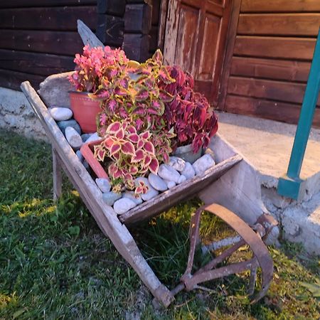 Bungalovi Vukovic Mojkovac Exteriör bild