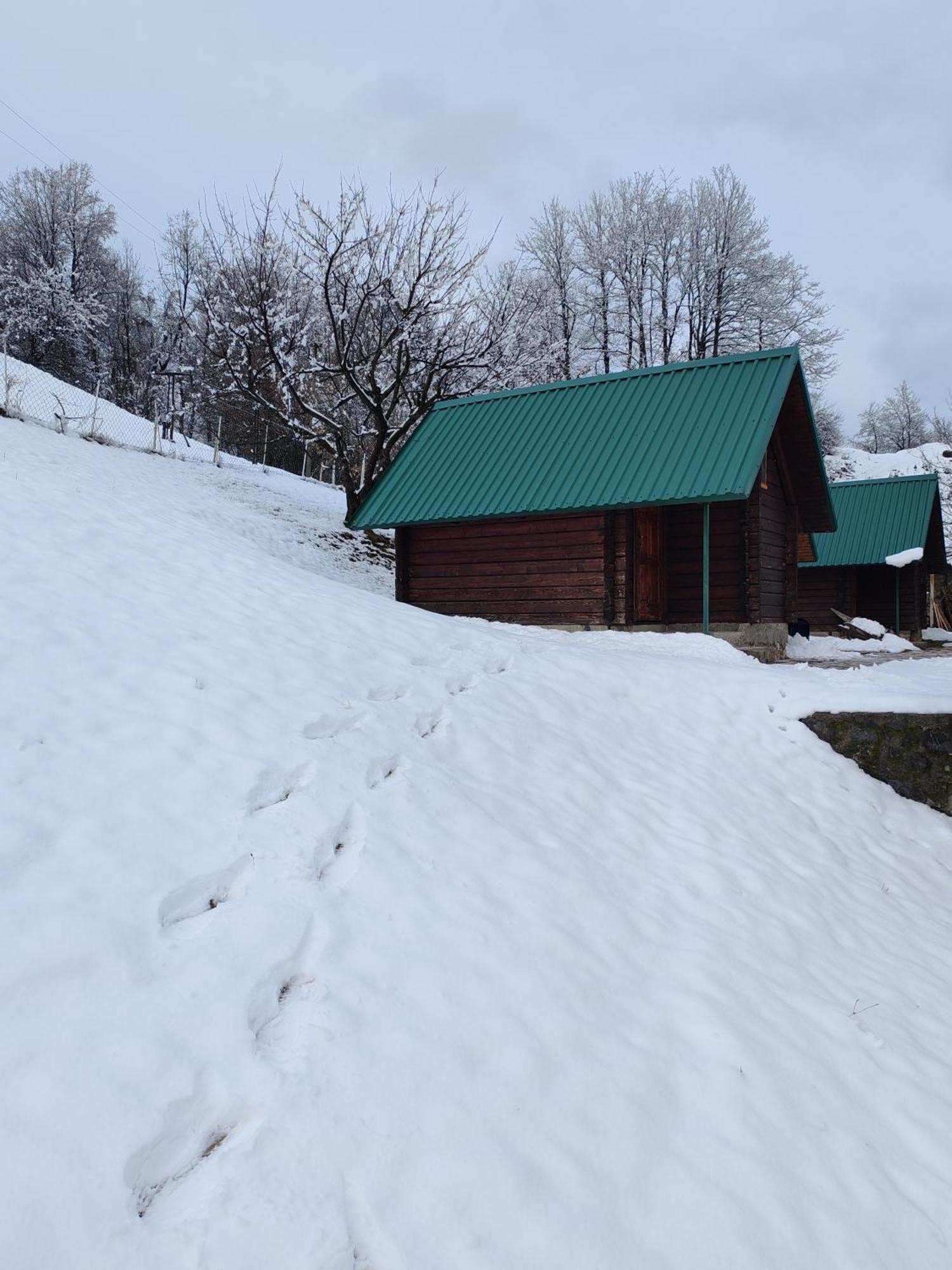 Bungalovi Vukovic Mojkovac Exteriör bild